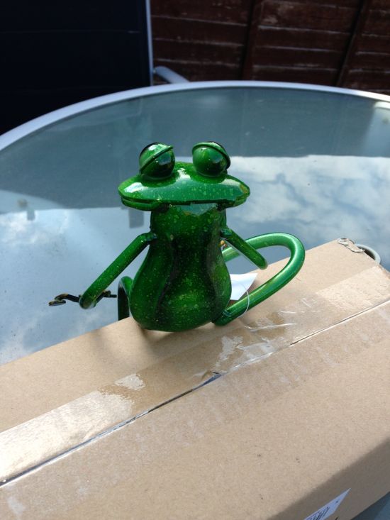 SUPERB SHELF SITTING METAL GARDEN FROG SCULPTURE ORNAMENT FIGURE FROGS